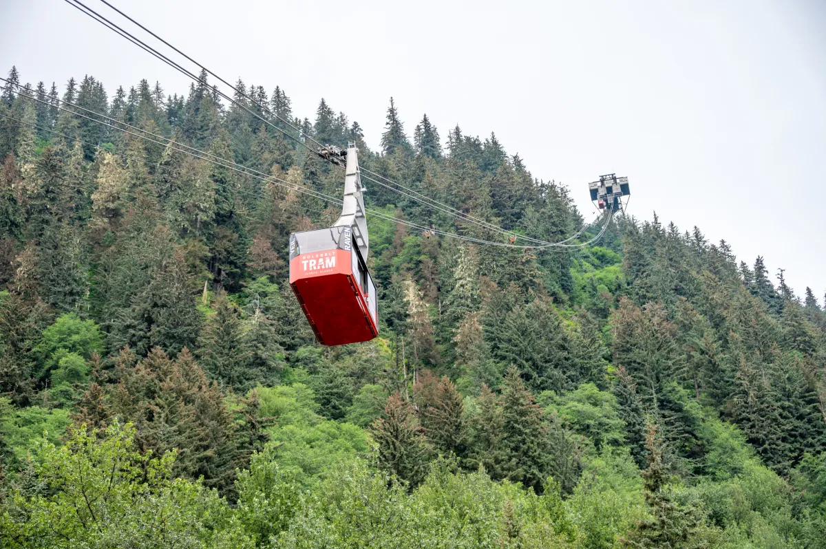 Mount Roberts Tramway, Juneau Alaska