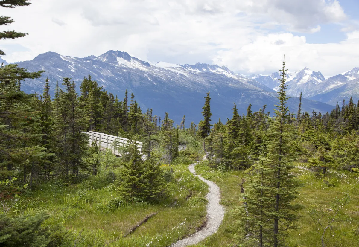 hiking trail near Upper Dewey Lake