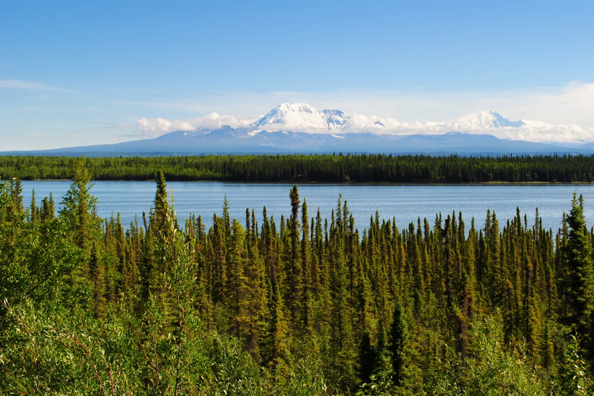 Scenic view in Alaska