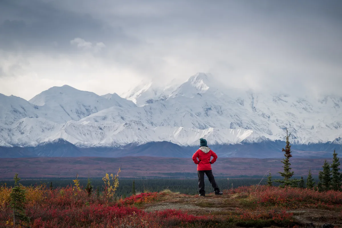 Hiker in Denali