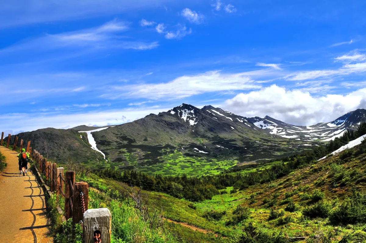 Walking trail from Flattop Mountain track, Anchorage