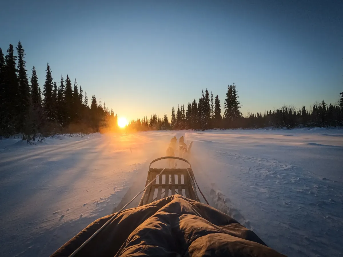 Dog Sled ride in Fairbanks