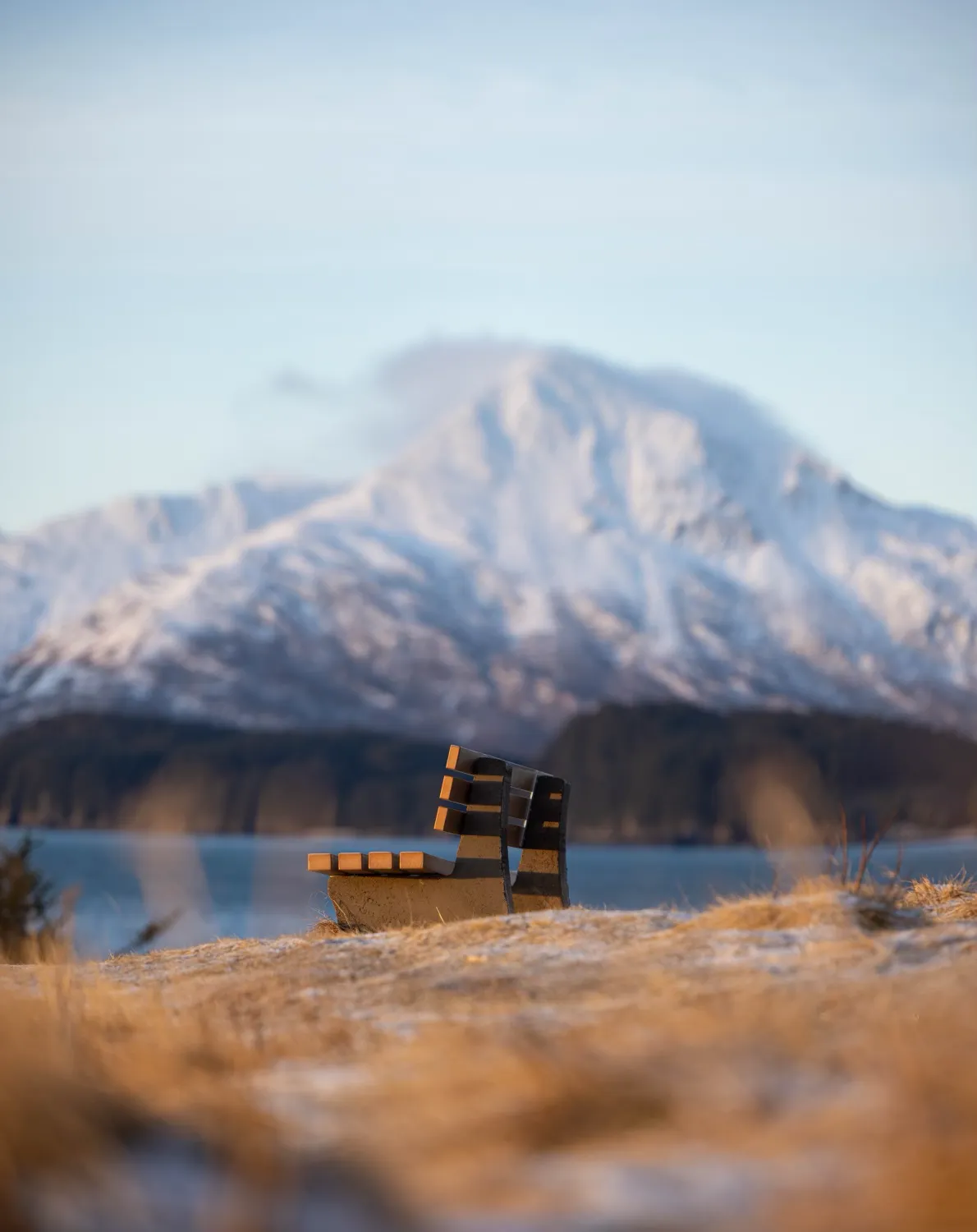 A bench on the South End Trail of Near Island, overlooking Barometer Mountain in the winter 