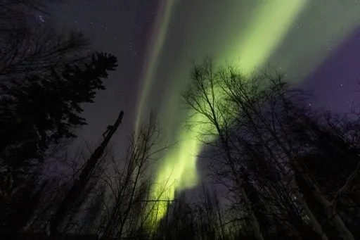 Northern lights