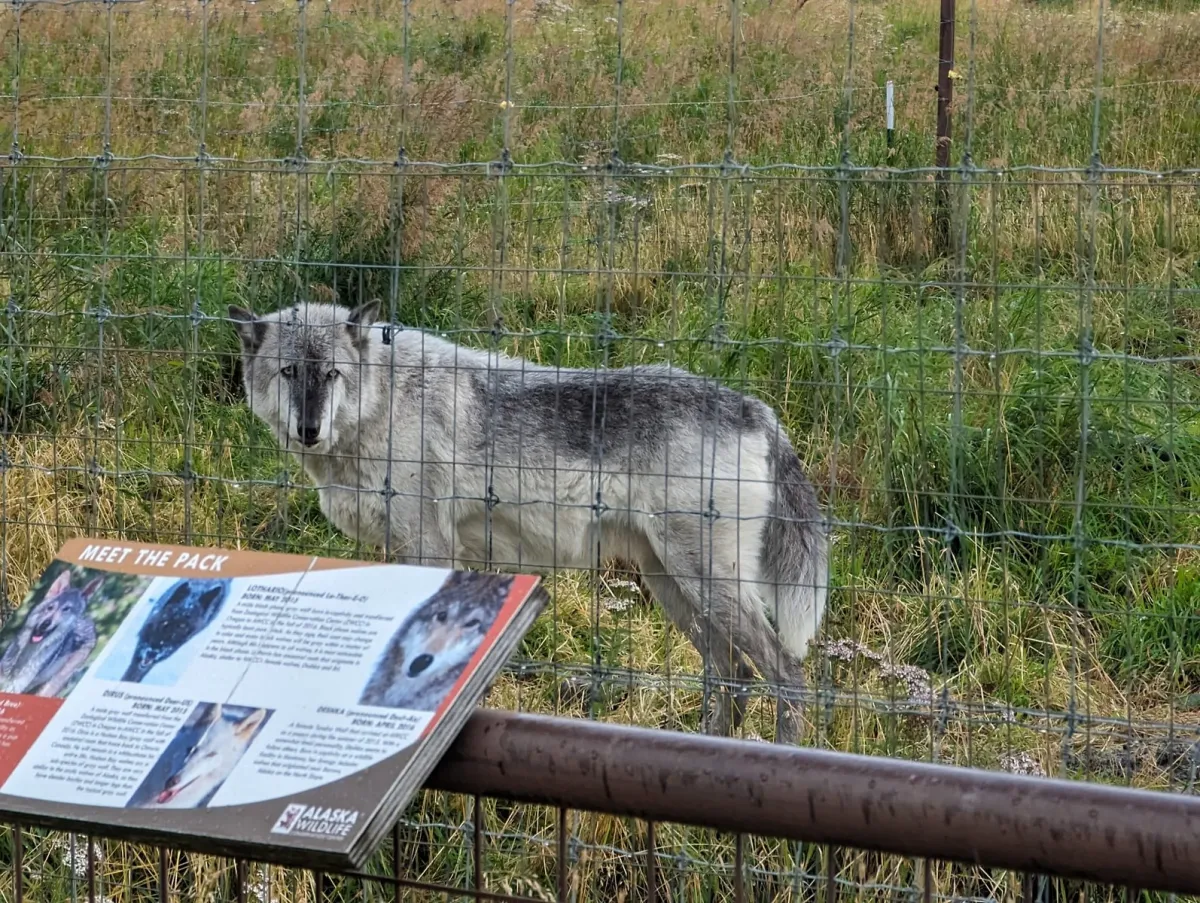 Alaska Conservation Center