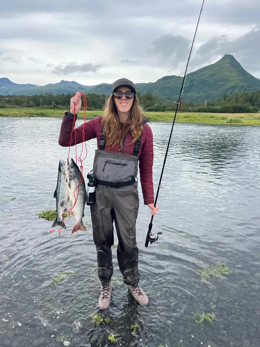 Freshly caught pink salmon