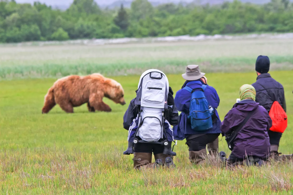 Hikers watching a bear