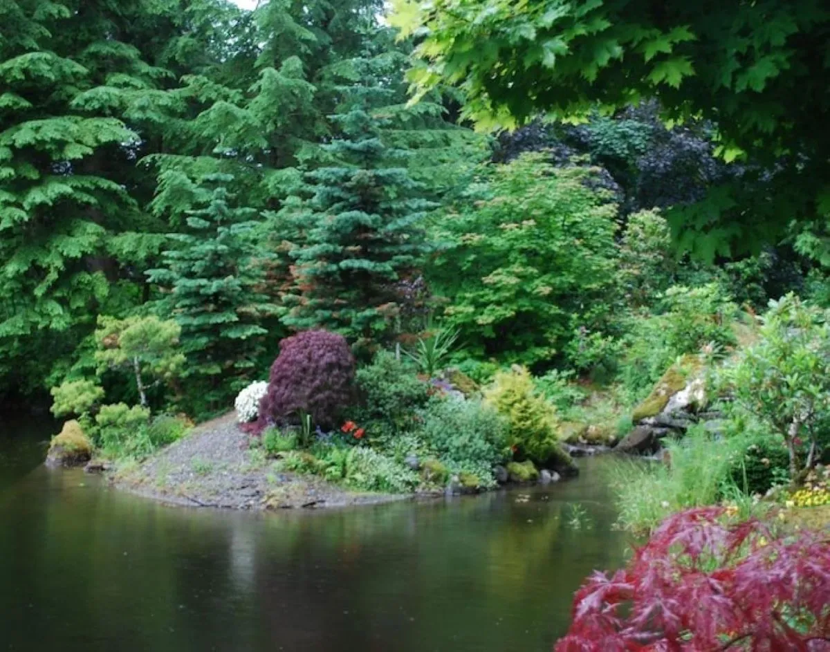 Glacier Gardens