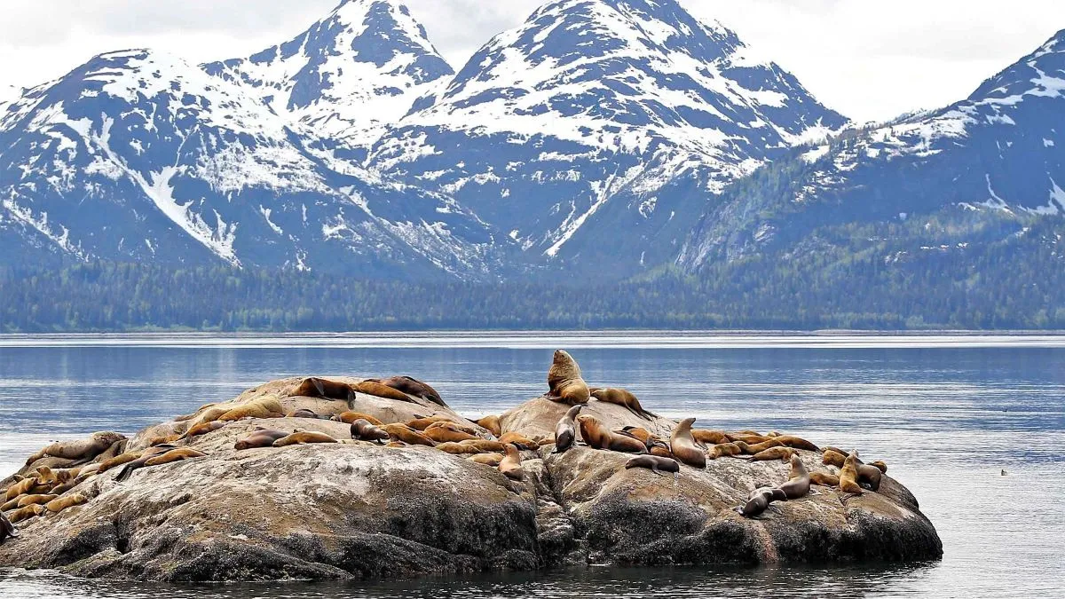 Inside Passage view 