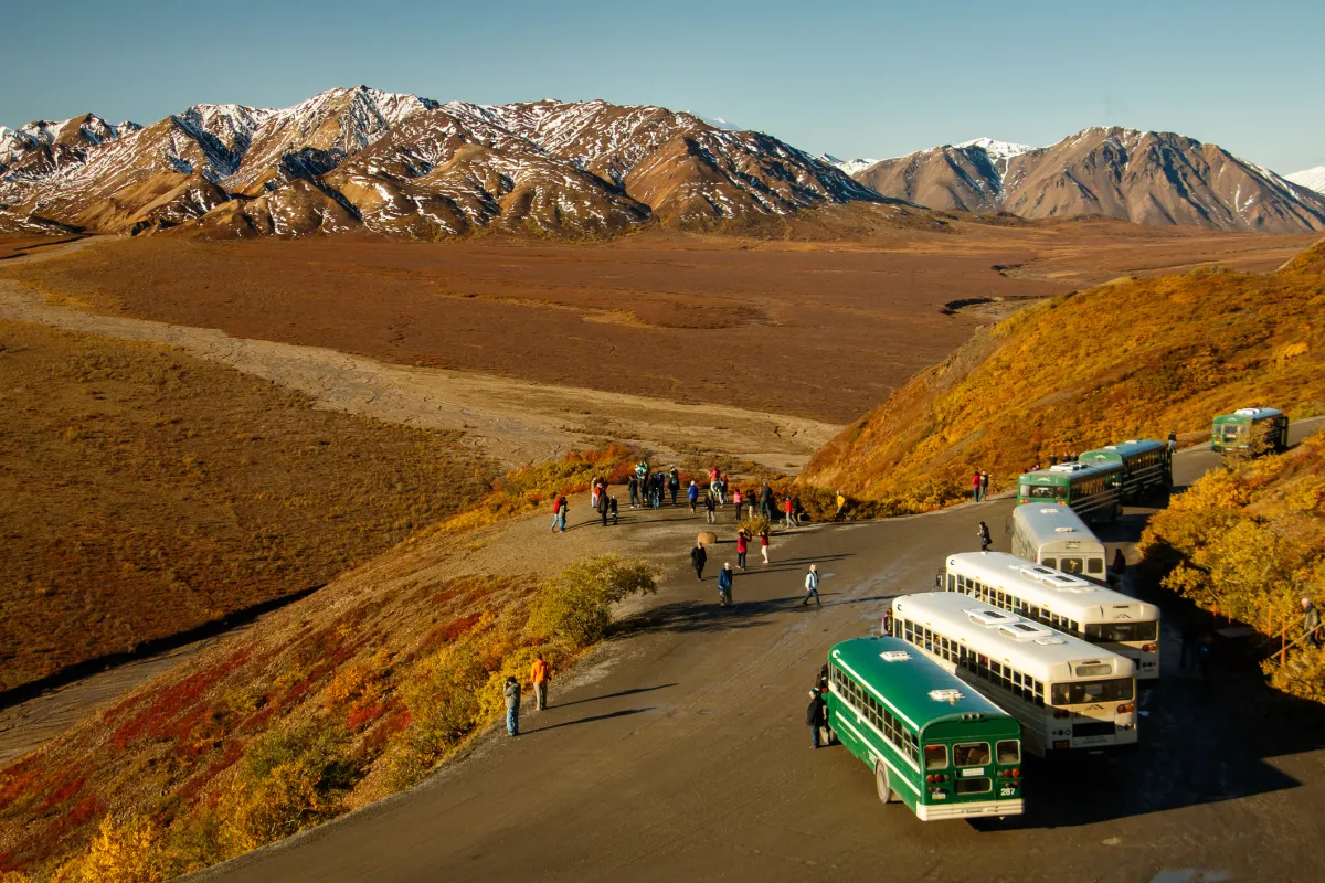 Buses in Denali