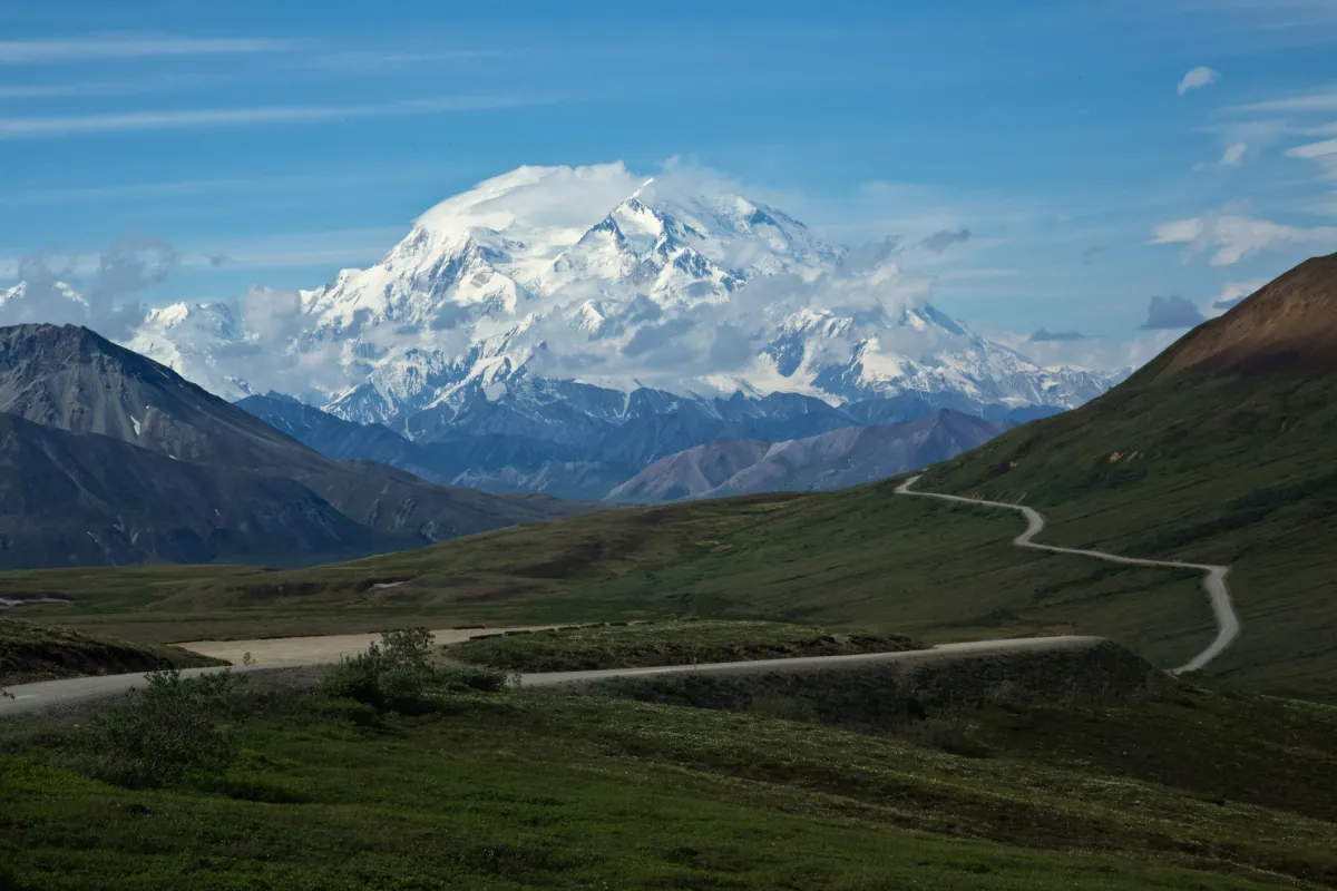 Denali road