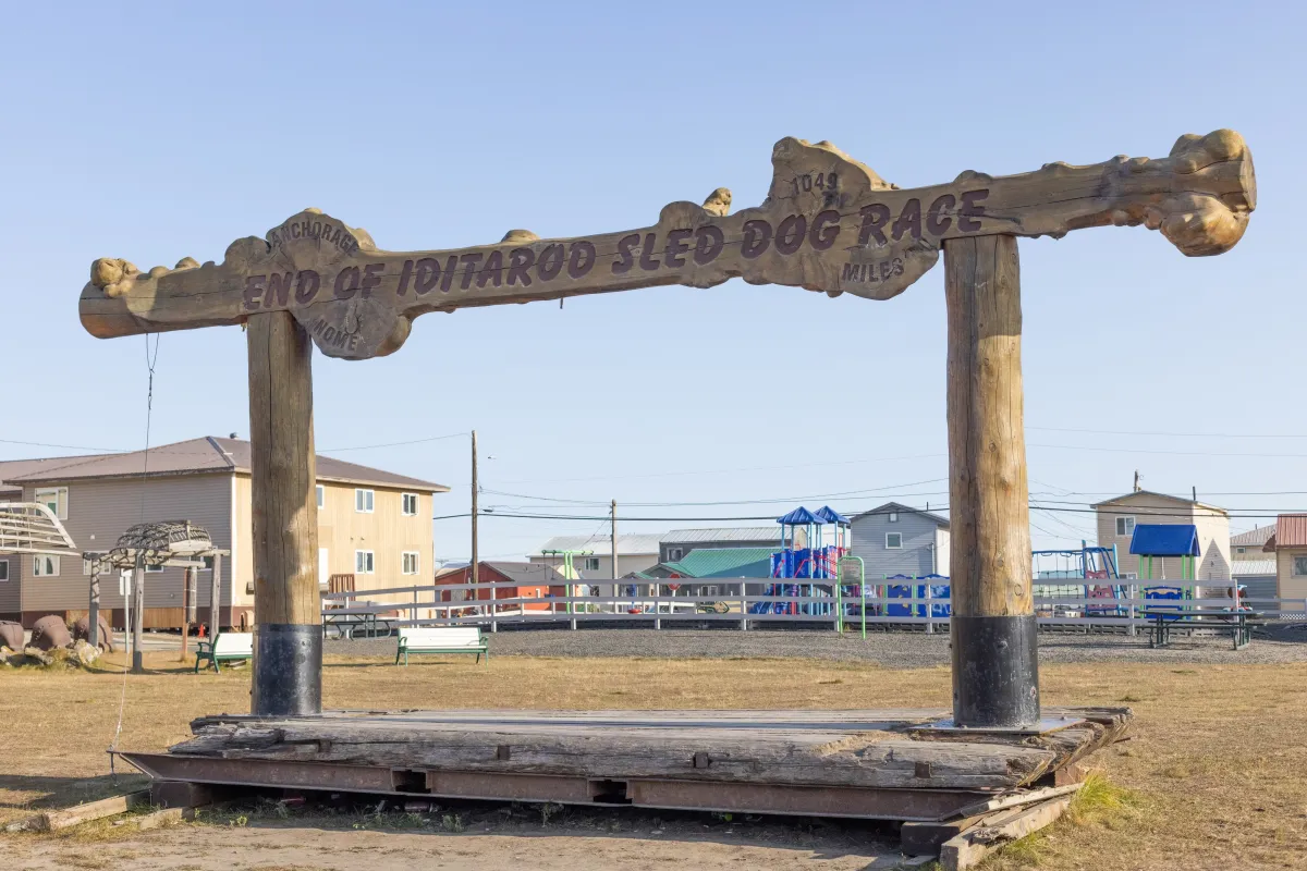 Iditarod Race Finish