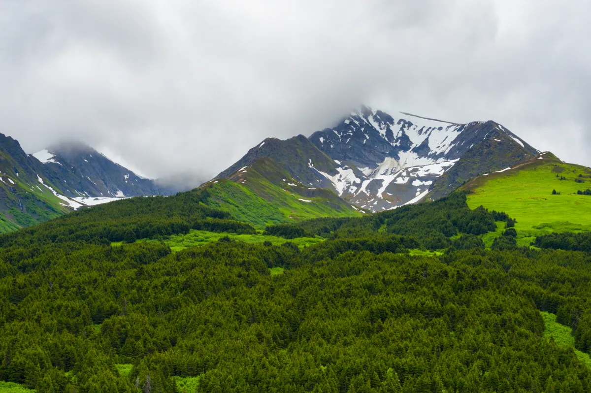 Summer in Kenai Mountains