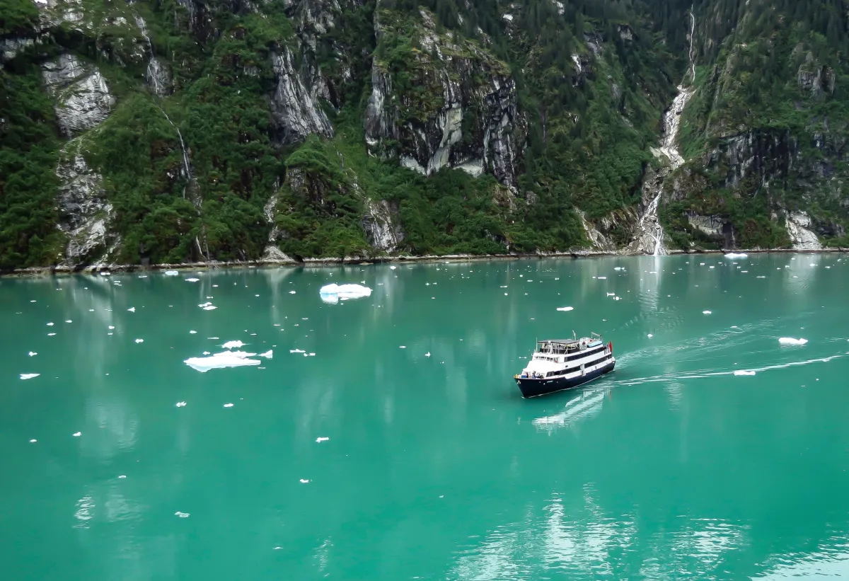 Cruise Ship in Tracy Arm